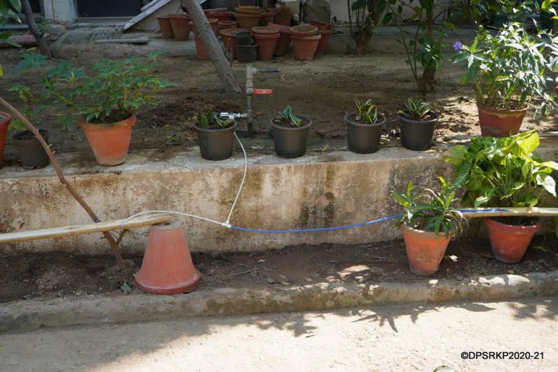 back-to-basics-bamboo-drip-irrigation-system-delhi-public-school-r